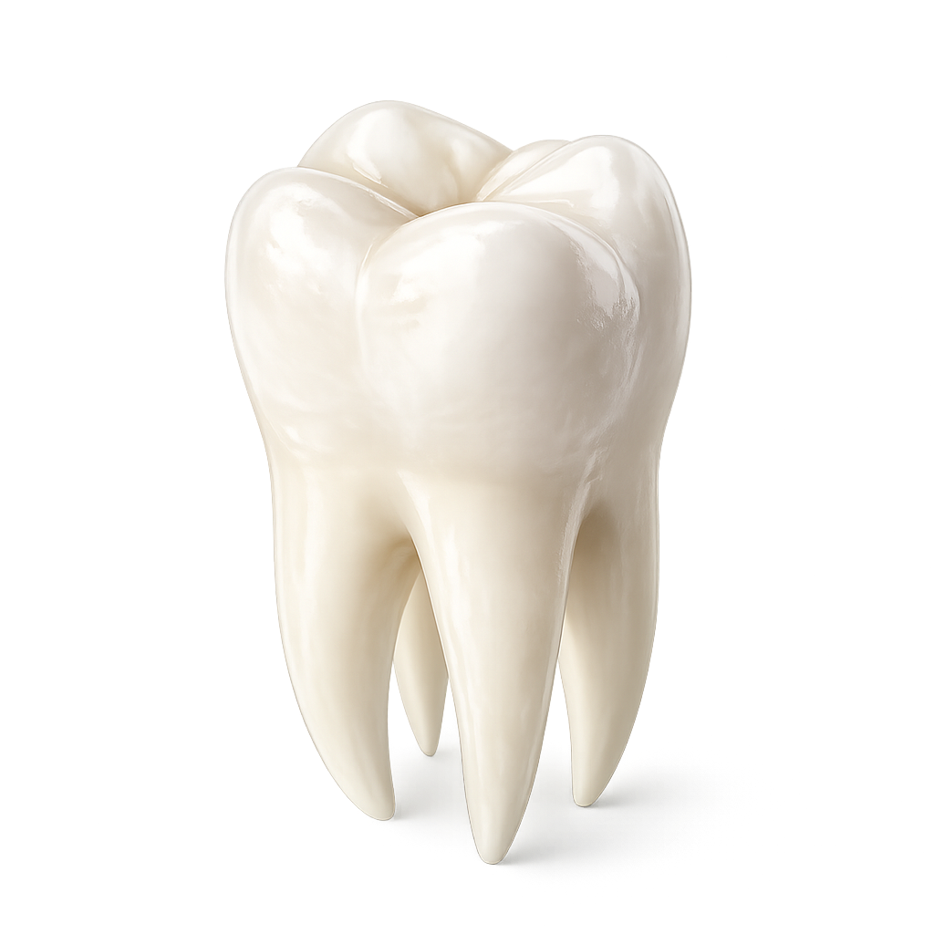 Tooth Icon